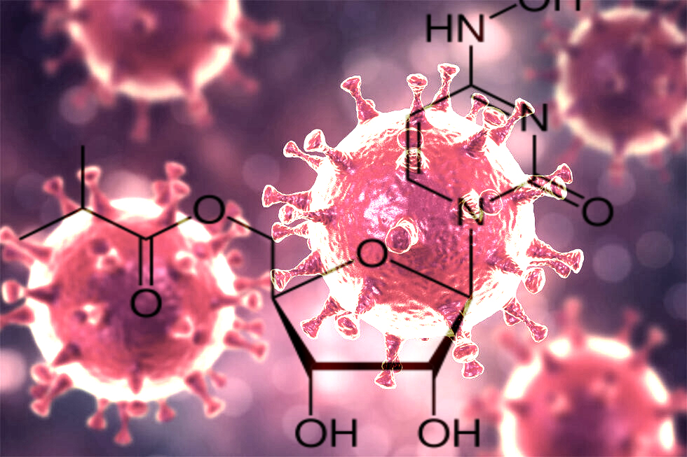 Molnupiravir for COVID-19 – Is it a Magic Pill or just a Hype in the Making?