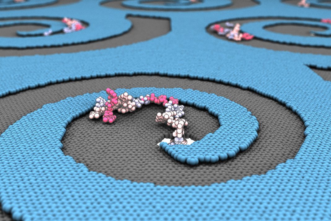 Nanopore DNA sequencing – New genetic test to diagnose Rare Neurological Diseases